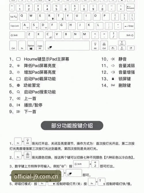 九游会j9官网使用指南：新手安全入门与操作全讲解